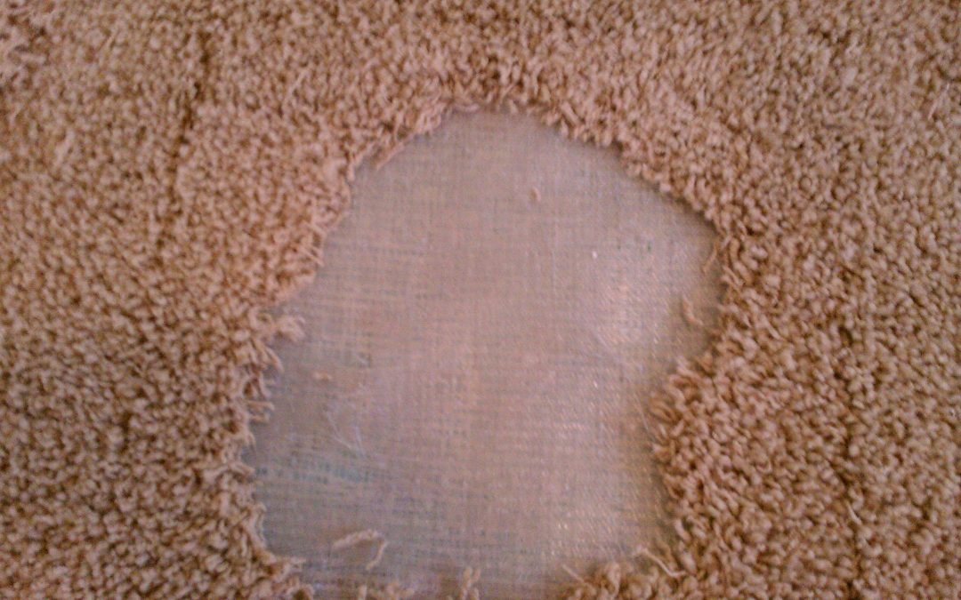 Fort Lee Carpet Repair