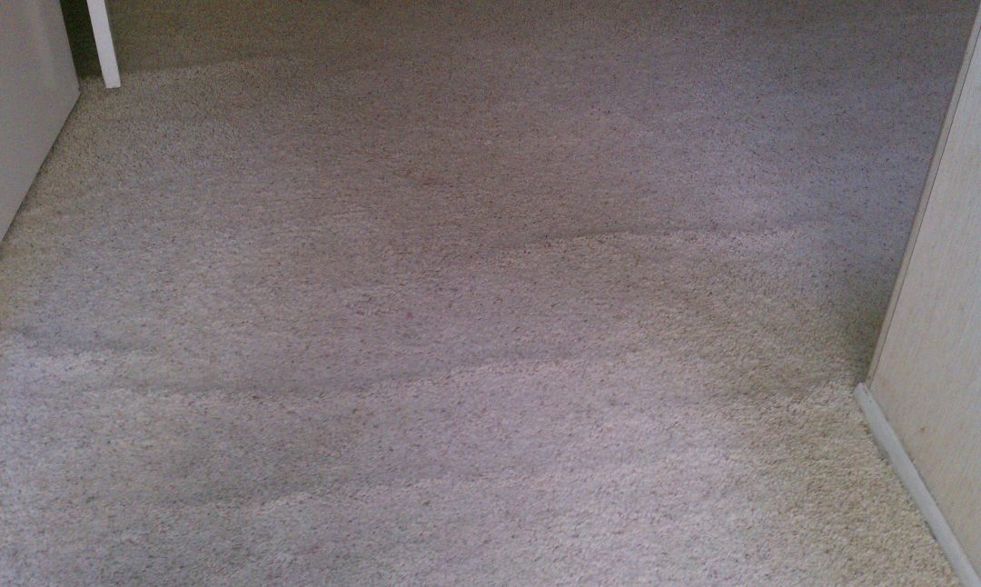 New Jersey Carpet Ripples ReStretch Job New Jersey Carpet Repair