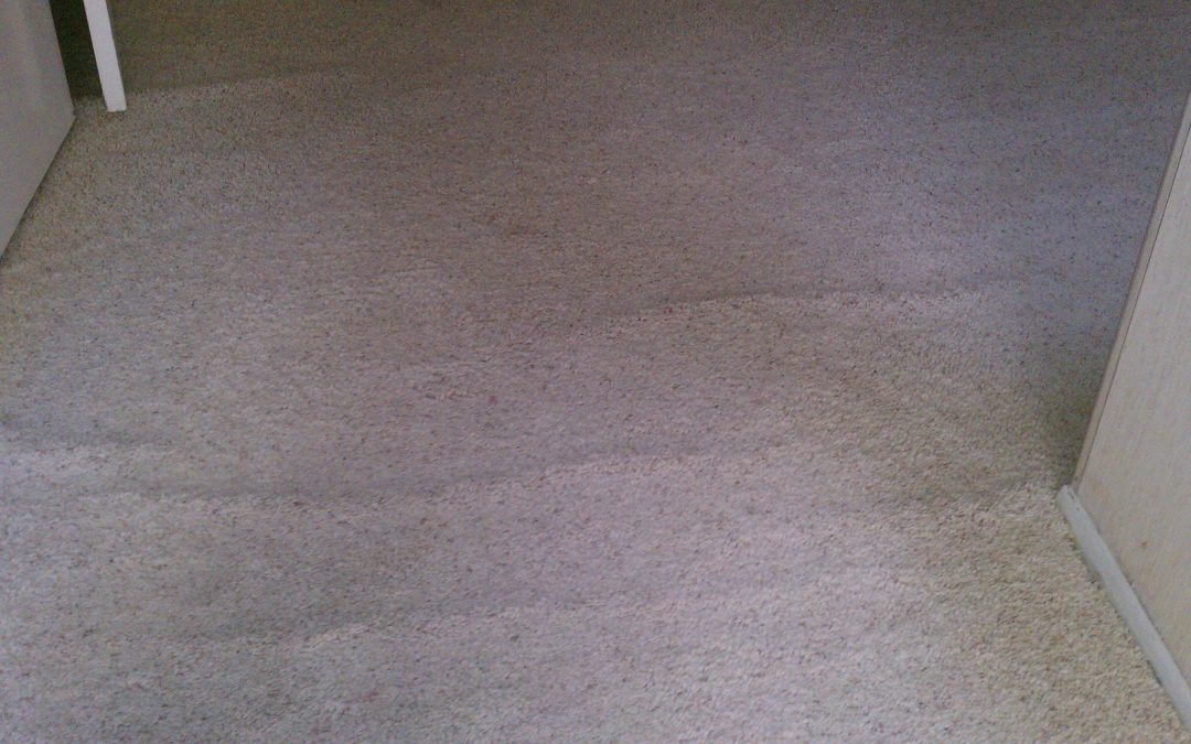 New Jersey Carpet Ripples Re-Stretch Job